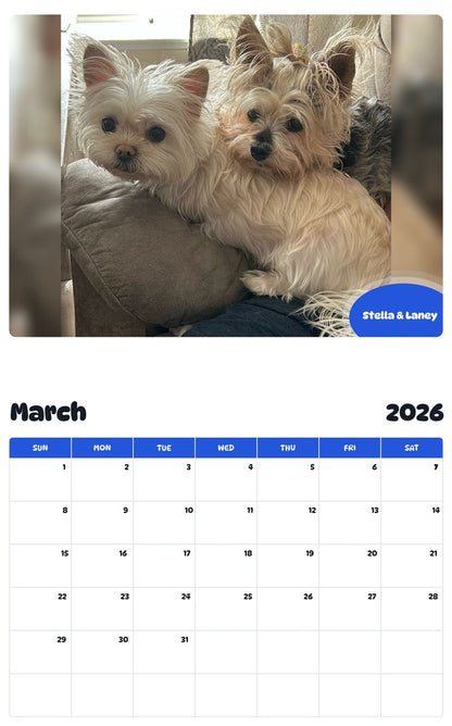 November 2025 - October 2026 Stella & Laney - Pawidols Pet Calendar
