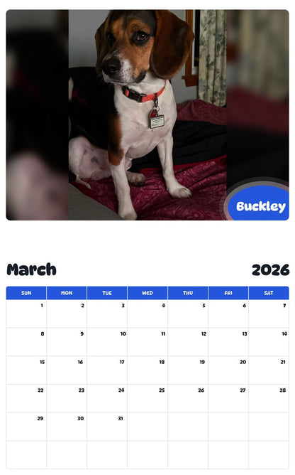 November 2025 - October 2026 Buckley - Pawidols Pet Calendar