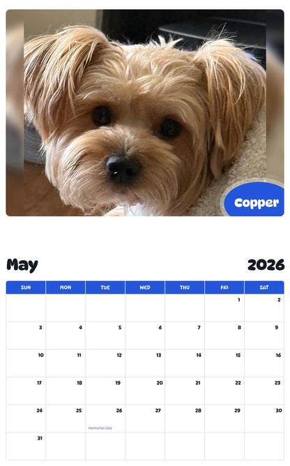 2026 - 2027 Copper - Pawidols Pet Calendar