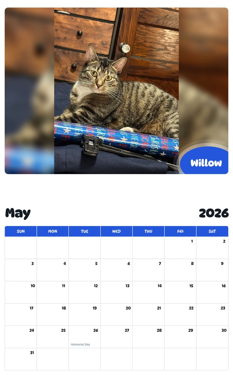 2026 - 2027 Willow - Pawidols Pet Calendar