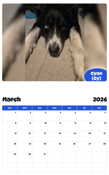 November 2025 - October 2026 Cyan (Cy) - Pawidols Pet Calendar
