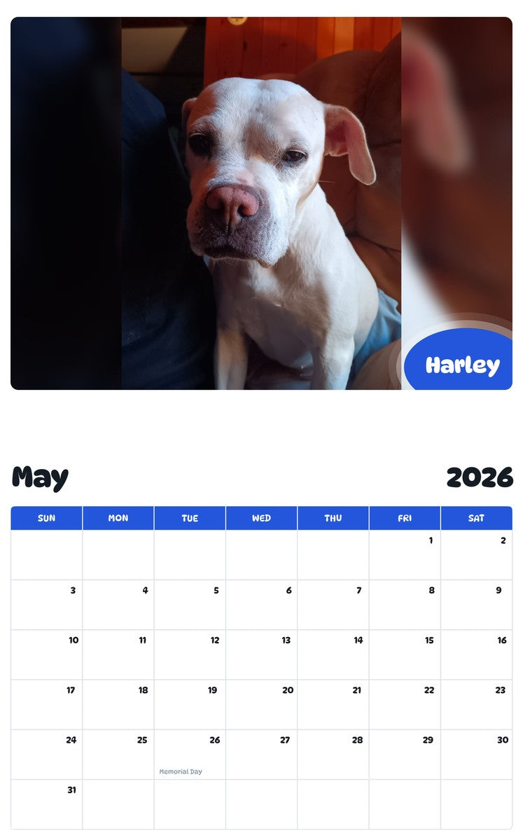 2026 - 2027 Harley - Pawidols Pet Calendar