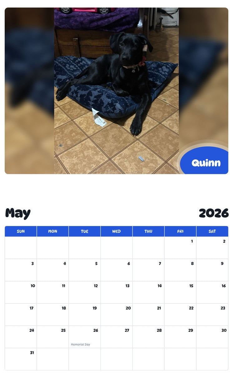 2026 - 2027 Quinn - Pawidols Pet Calendar