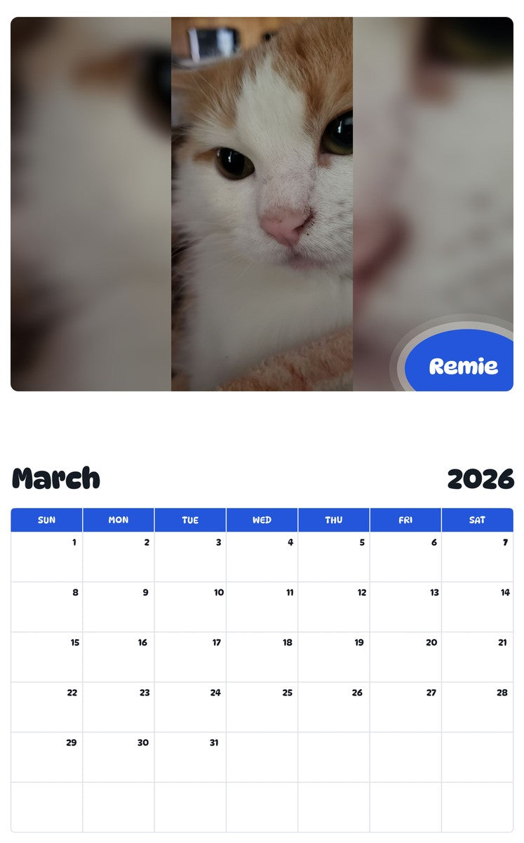 November 2025 - October 2026 Remie - Pawidols Pet Calendar