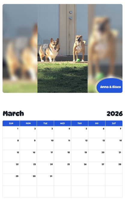 November 2025 - October 2026 Anna & Bisco - Pawidols Pet Calendar