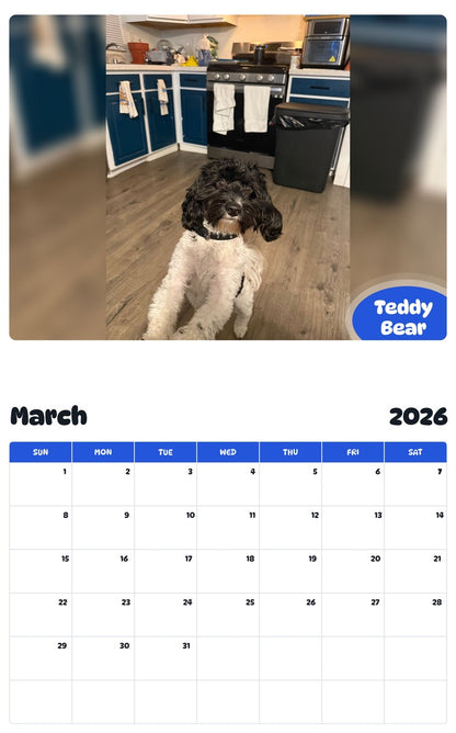 November 2025 - October 2026 Teddy Bear - Pawidols Pet Calendar