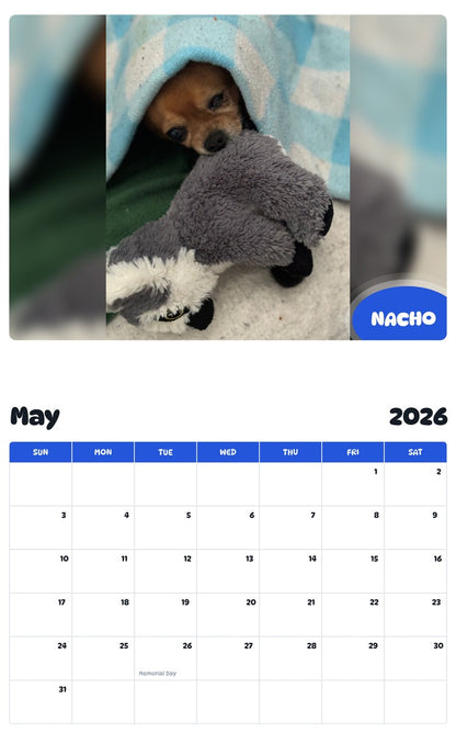 2026 - 2027 NACHO - Pawidols Pet Calendar