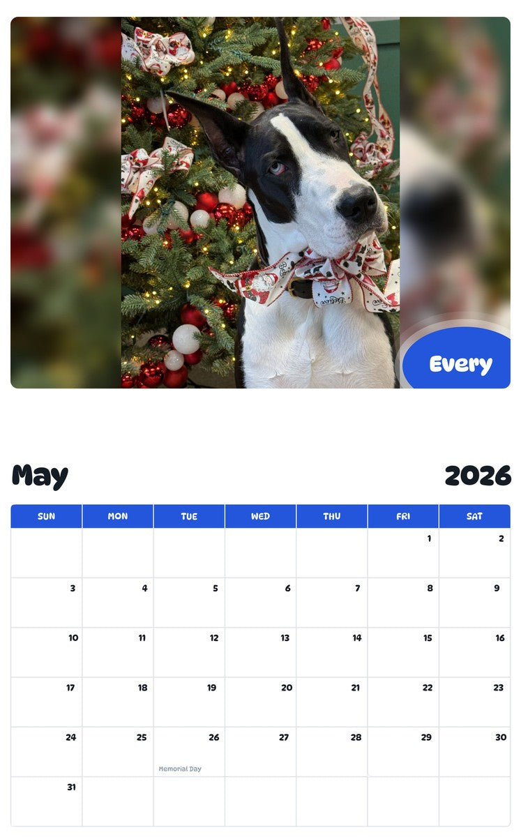 2026 - 2027 Every - Pawidols Pet Calendar