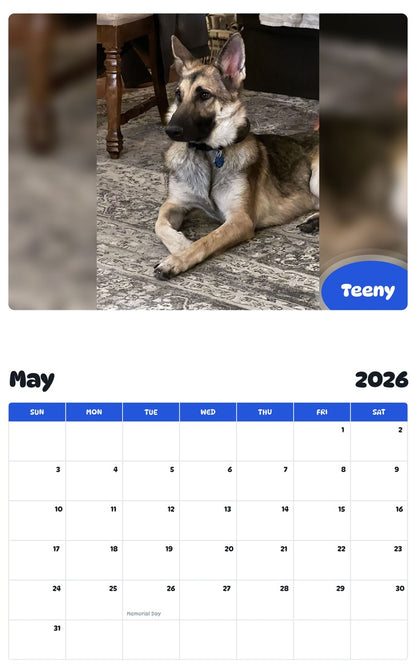 2026 - 2027 Teeny - Pawidols Pet Calendar