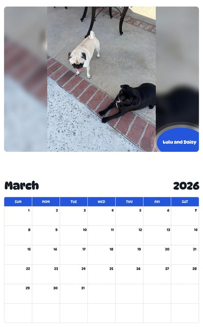 November 2025 - October 2026 Lulu and Daisy - Pawidols Pet Calendar