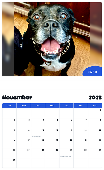 July 2025 - June 2026 Fred - Pawidols Pet Calendar
