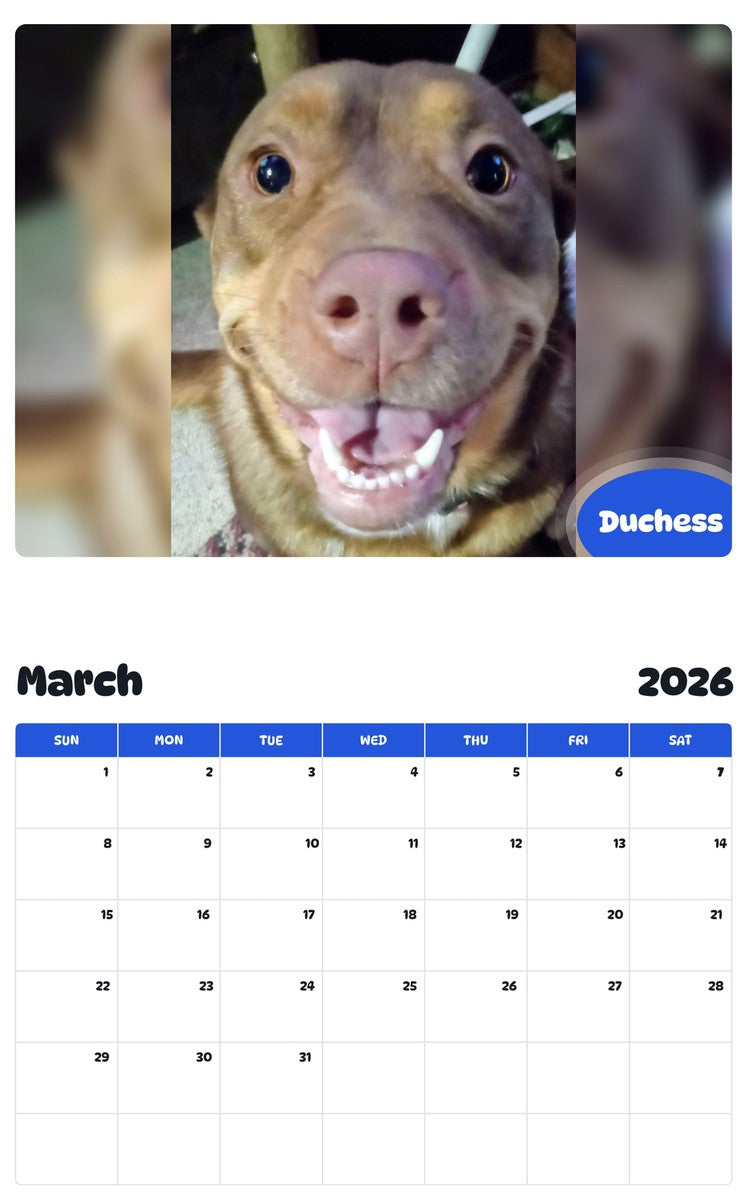 November 2025 - October 2026 Duchess - Pawidols Pet Calendar