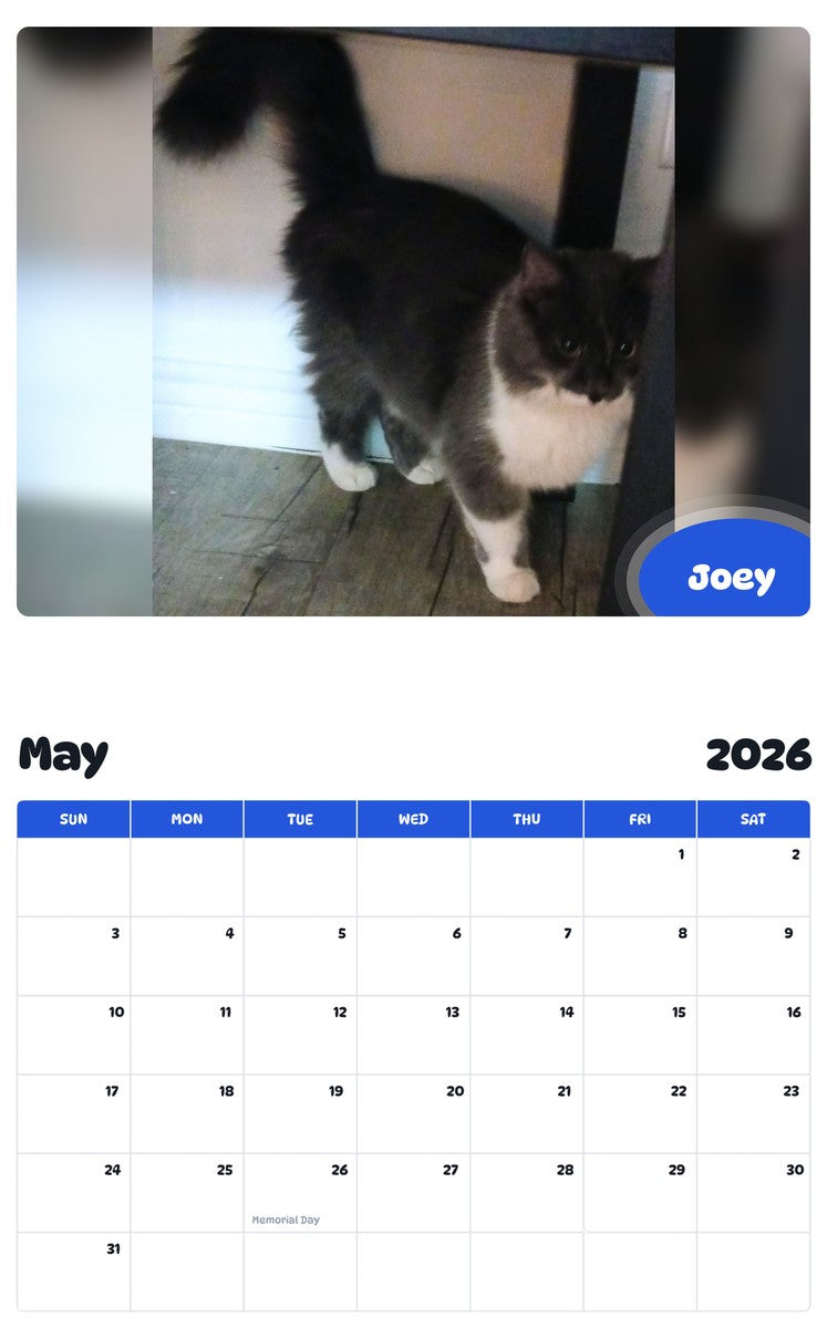 2026 - 2027 Joey - Pawidols Pet Calendar