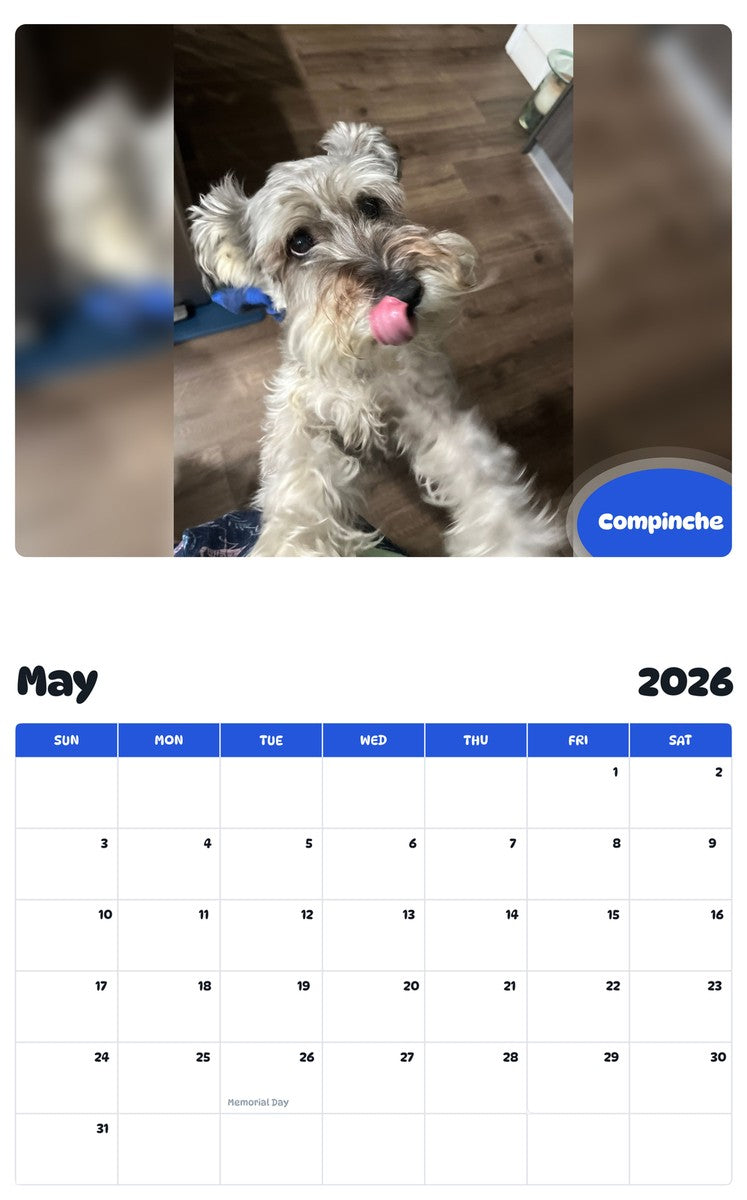 2026 - 2027 Compinche - Pawidols Pet Calendar