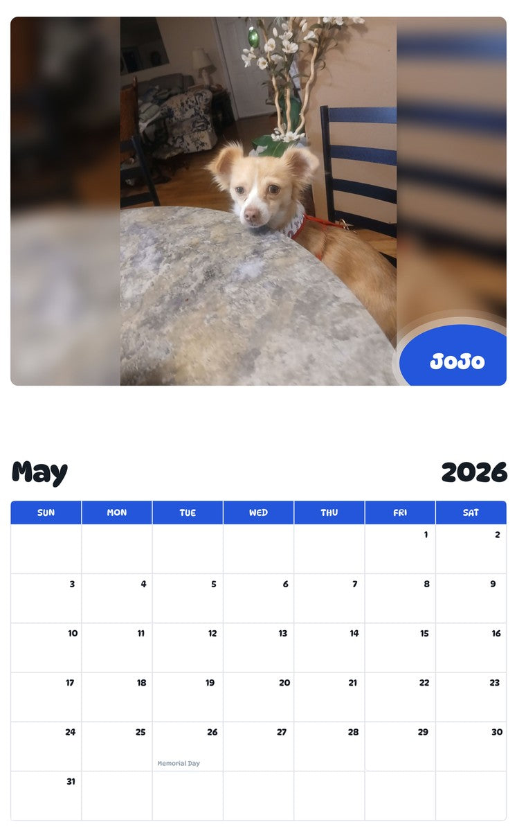 2026 - 2027 JoJo - Pawidols Pet Calendar