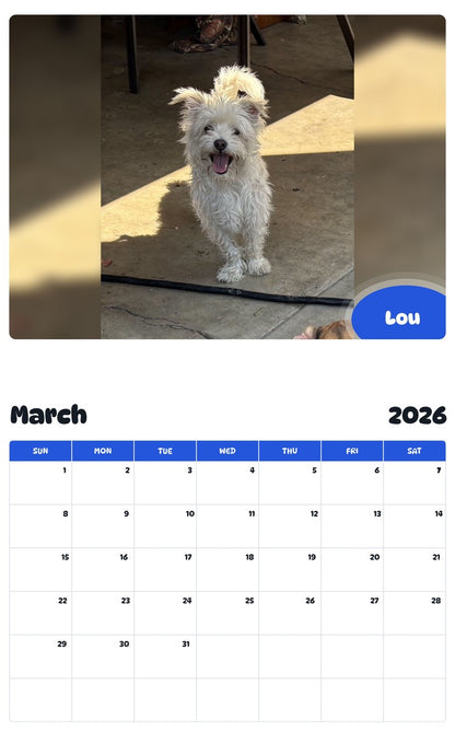 November 2025 - October 2026 Lou - Pawidols Pet Calendar