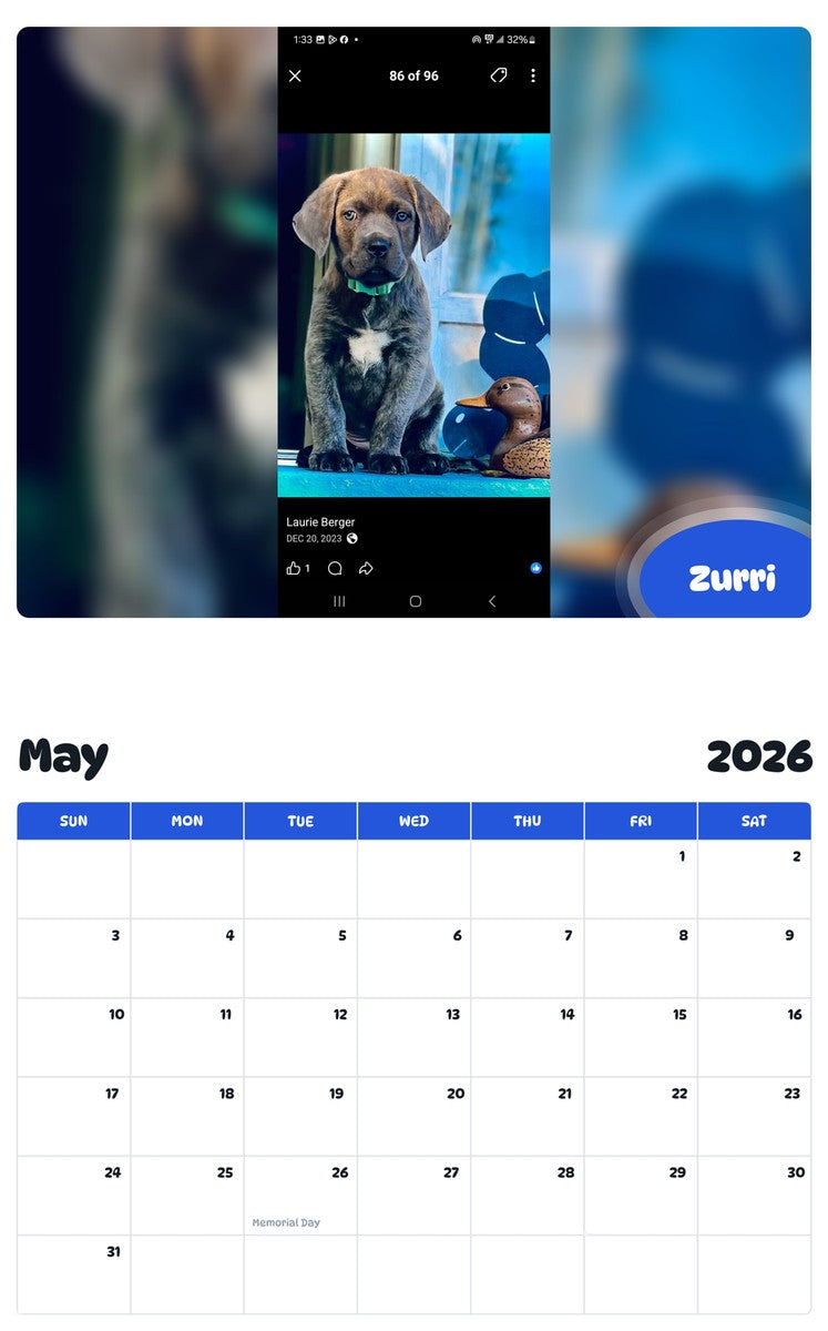 2026 - 2027 Zurri - Pawidols Pet Calendar
