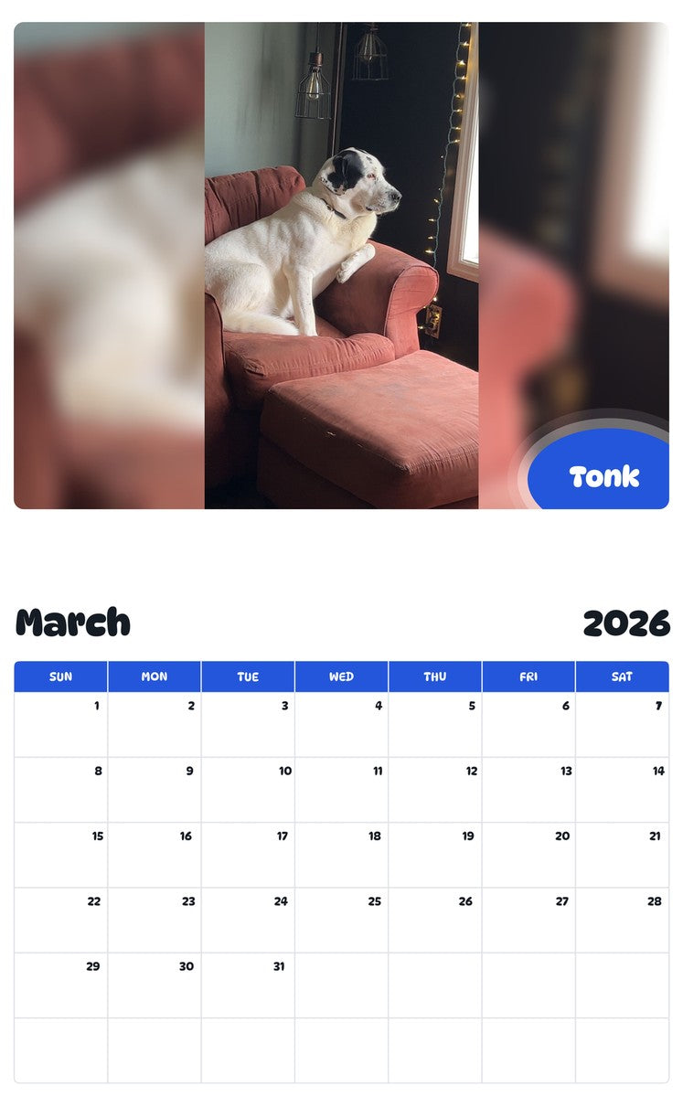 November 2025 - October 2026 Tonk - Pawidols Pet Calendar