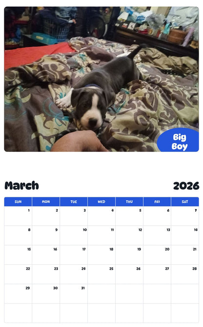 November 2025 - October 2026 Big Boy - Pawidols Pet Calendar