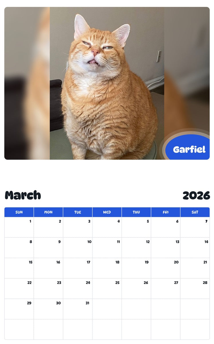 November 2025 - October 2026 Garfiel - Pawidols Pet Calendar