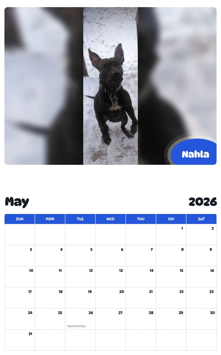2026 - 2027 Nahla - Pawidols Pet Calendar