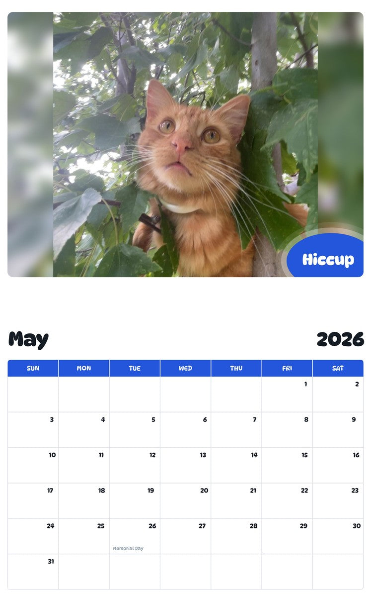 2026 - 2027 Hiccup - Pawidols Pet Calendar