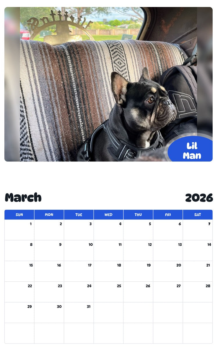 November 2025 - October 2026 Lil Man - Pawidols Pet Calendar