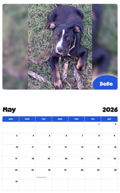 2026 - 2027 DeBo - Pawidols Pet Calendar