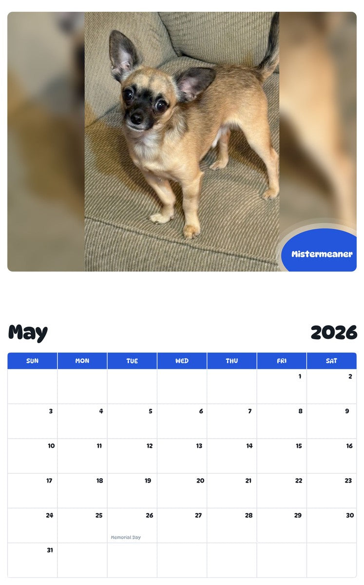 2026 - 2027 Mistermeaner - Pawidols Pet Calendar