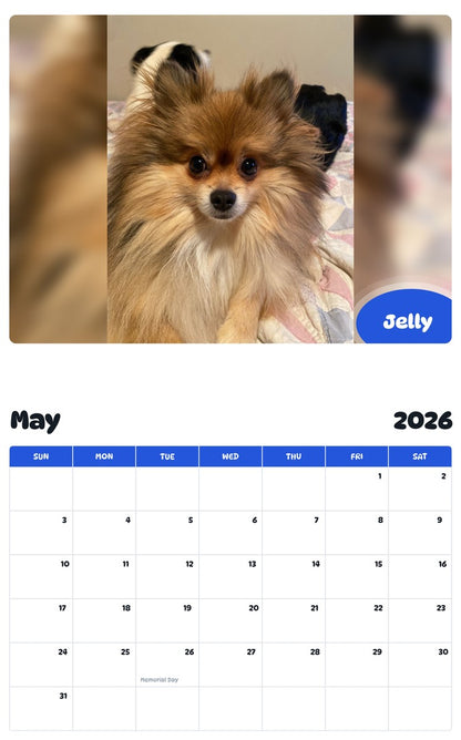 2026 - 2027 Jelly - Pawidols Pet Calendar