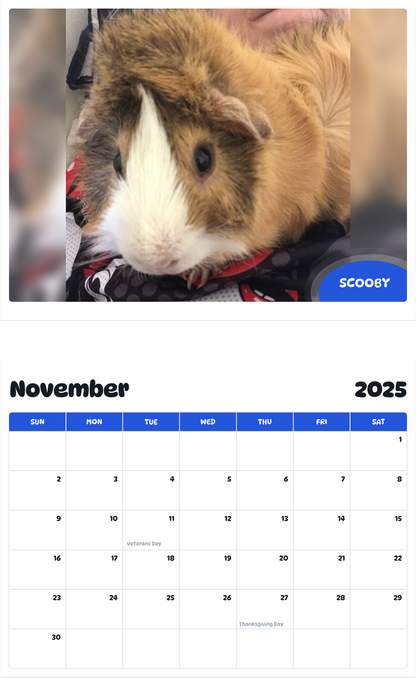 July 2025 - June 2026 Scooby - Pawidols Pet Calendar