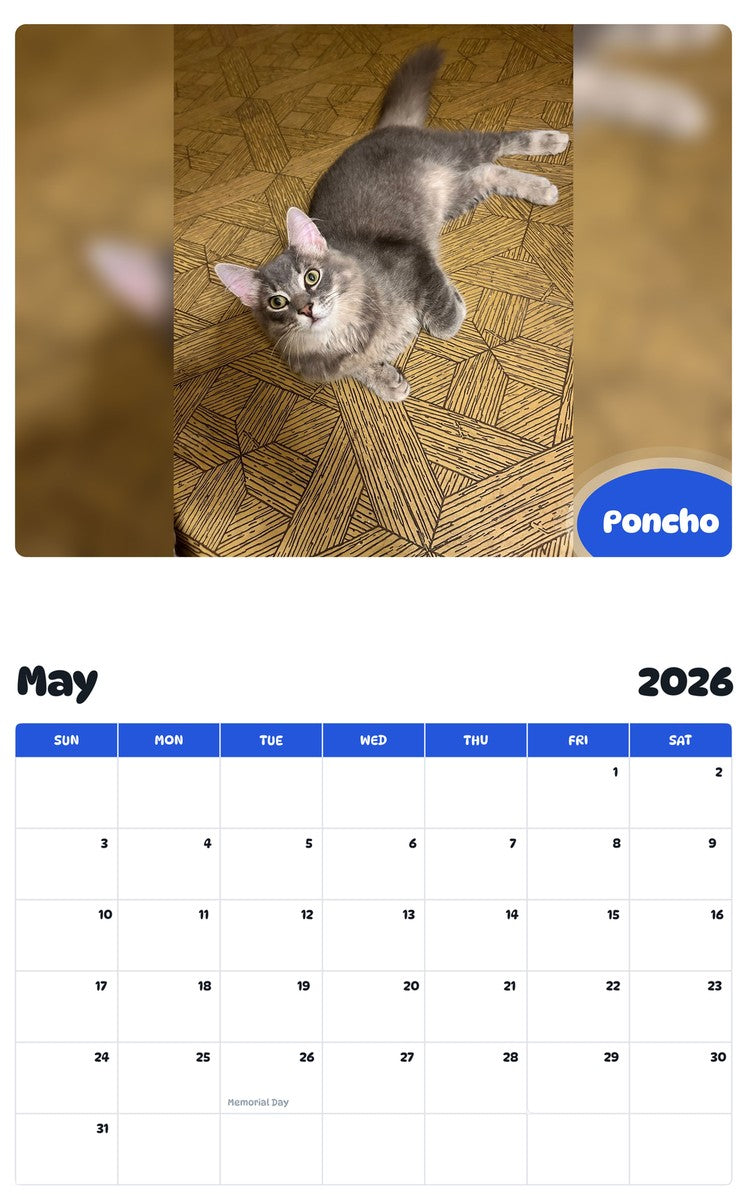 2026 - 2027 Poncho - Pawidols Pet Calendar