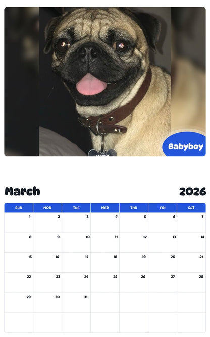 November 2025 - October 2026 Babyboy - Pawidols Pet Calendar