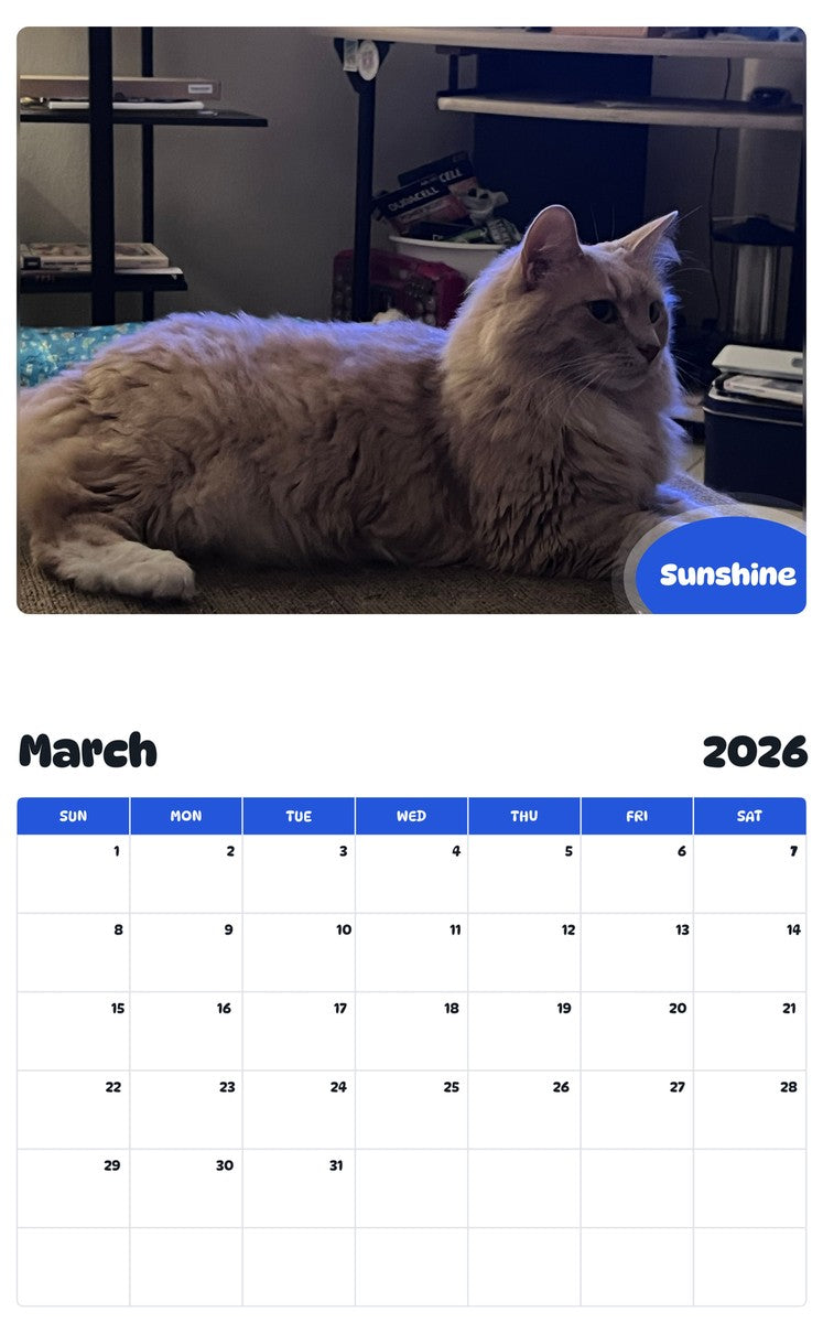 November 2025 - October 2026 Sunshine - Pawidols Pet Calendar
