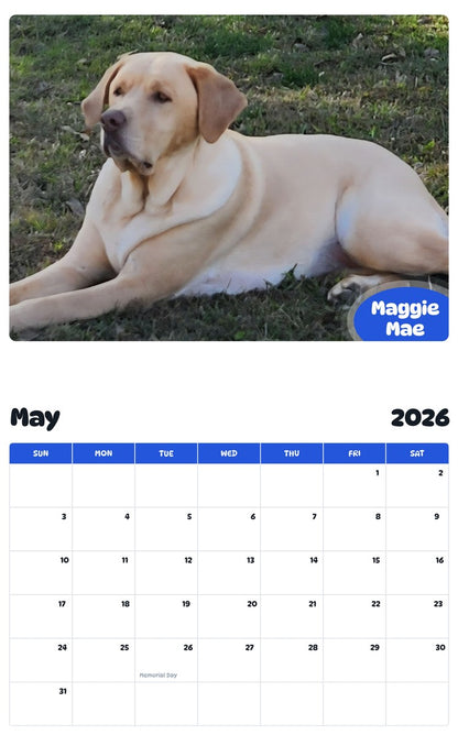 2026 - 2027 Maggie Mae - Pawidols Pet Calendar