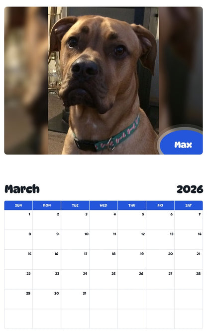 November 2025 - October 2026 Max - Pawidols Pet Calendar