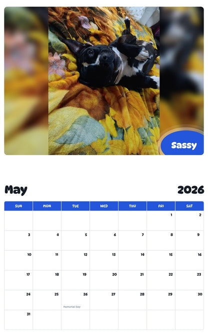 2026 - 2027 Sassy - Pawidols Pet Calendar