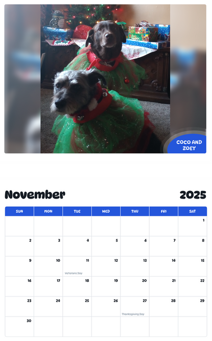July 2025 - June 2026 Coco and Zoey - Pawidols Pet Calendar