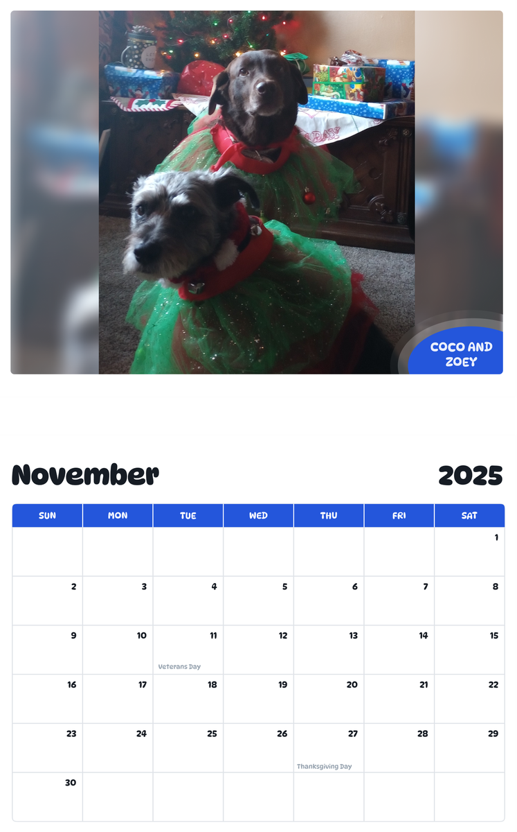 July 2025 - June 2026 Coco and Zoey - Pawidols Pet Calendar