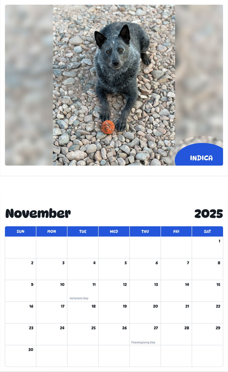 July 2025 - June 2026 Indica - Pawidols Pet Calendar