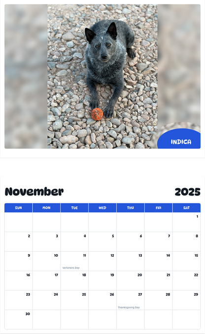 July 2025 - June 2026 Indica - Pawidols Pet Calendar