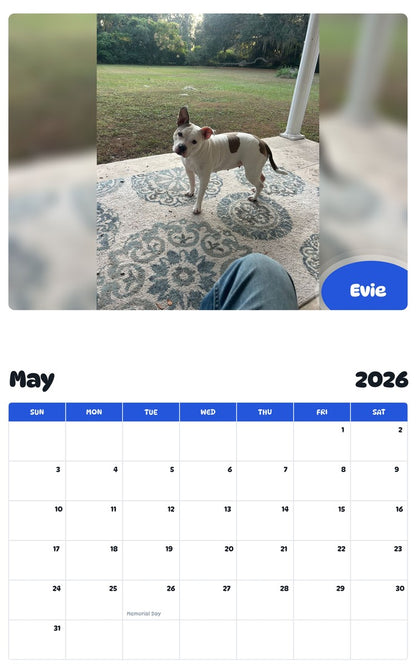 2026 - 2027 Evie - Pawidols Pet Calendar