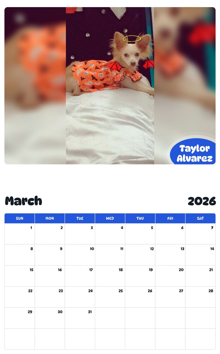November 2025 - October 2026 Taylor Alvarez - Pawidols Pet Calendar