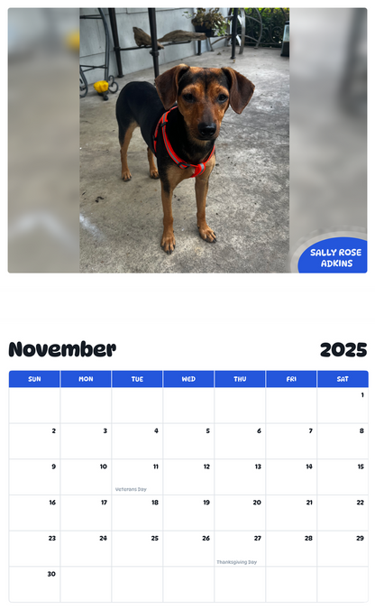 July 2025 - June 2026 Sally Rose Adkins - Pawidols Pet Calendar