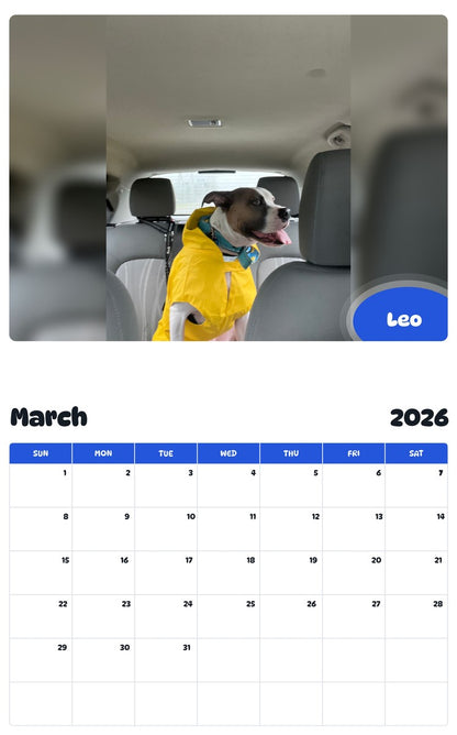November 2025 - October 2026 Leo - Pawidols Pet Calendar