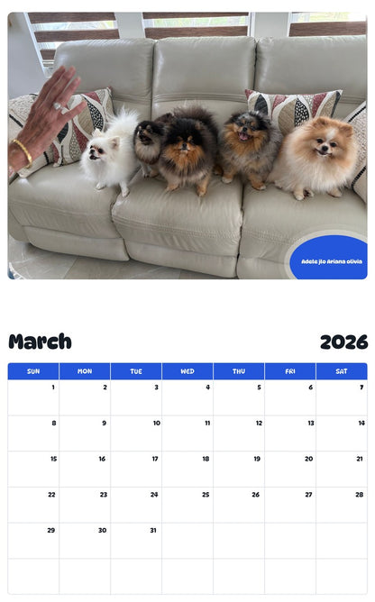 November 2025 - October 2026 Adele jlo Ariana olivia - Pawidols Pet Calendar