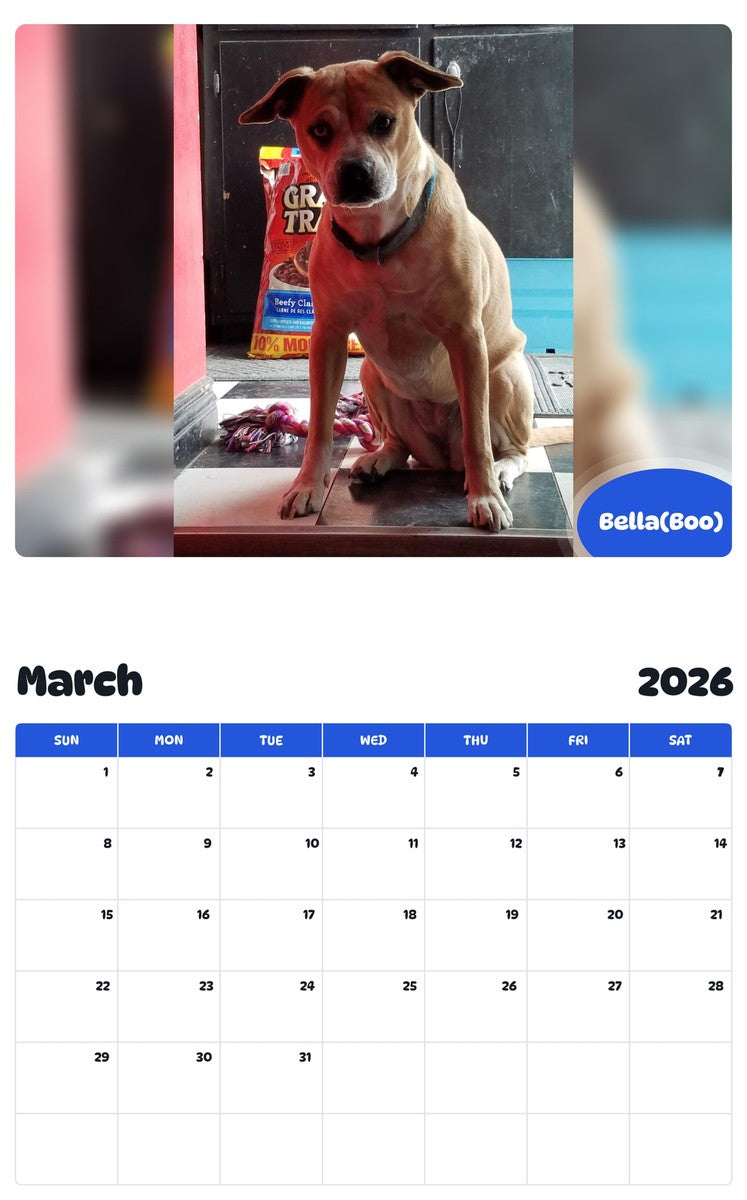 November 2025 - October 2026 Bella(Boo) - Pawidols Pet Calendar