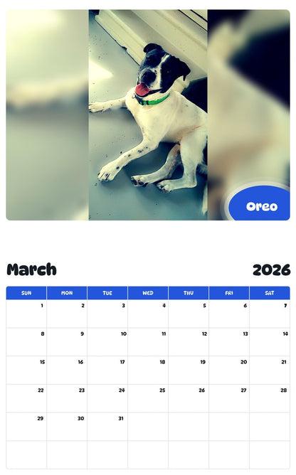 November 2025 - October 2026 Oreo - Pawidols Pet Calendar