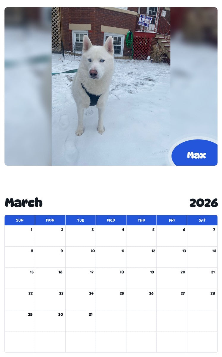 November 2025 - October 2026 Max - Pawidols Pet Calendar