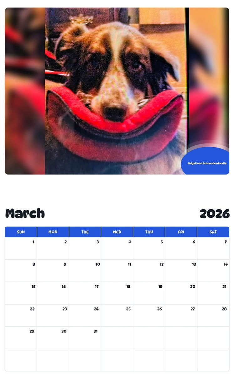 November 2025 - October 2026 Abigail van Schnooderdoodle - Pawidols Pet Calendar